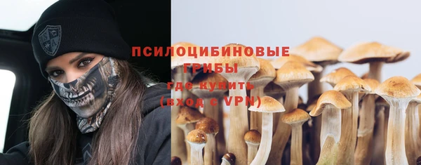 гидра Нея