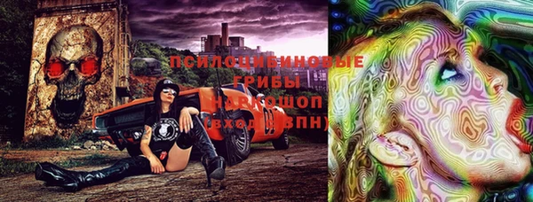 хмурый Нефтекумск