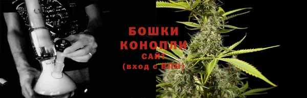 PSILOCYBIN Верхний Тагил