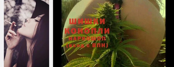 хмурый Нефтекумск
