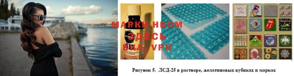 хмурый Нефтекумск