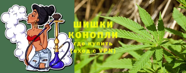 гидра Нея