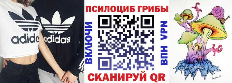 mega ссылка  shop Telegram  Галлюциногенные грибы MAGIC MUSHROOMS  Богучар 